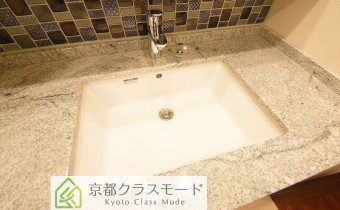 シャンプードレッサー