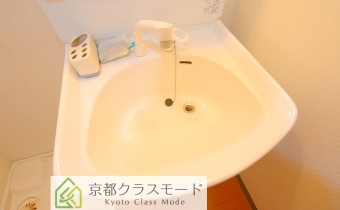 シャンプードレッサー
