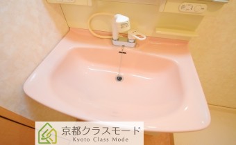 シャンプードレッサー