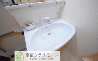 シャンプードレッサー