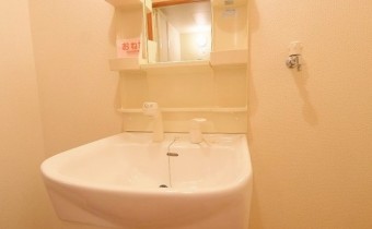 シャンプードレッサー