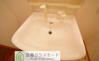 シャンプードレッサー