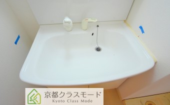 シャンプードレッサー
