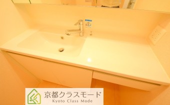 シャンプードレッサー
