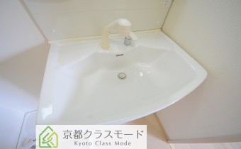 シャンプードレッサー
