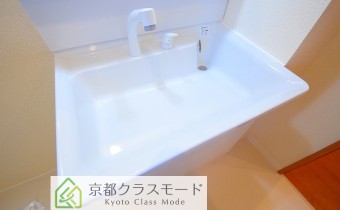 シャンプードレッサー