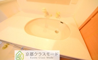 シャンプードレッサー