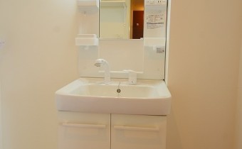 シャンプードレッサー