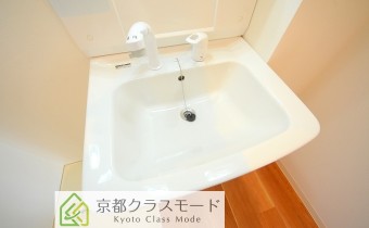 シャンプードレッサー