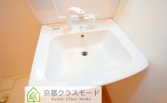 シャンプードレッサー