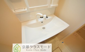 シャンプードレッサー