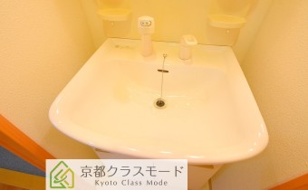 シャンプードレッサー