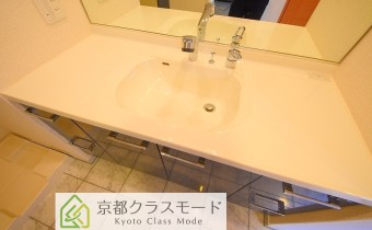 シャンプードレッサー