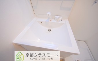 シャンプードレッサー