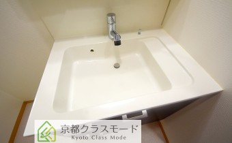 シャンプードレッサー