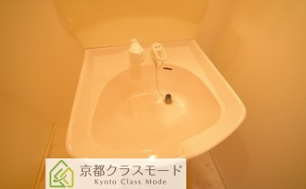 シャンプードレッサー