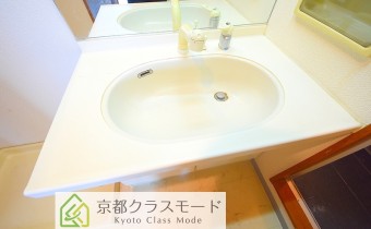 シャンプードレッサー