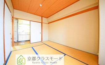 和6