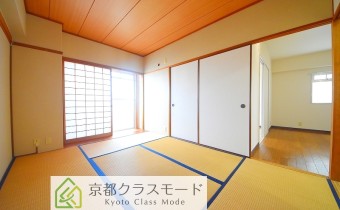 和6
