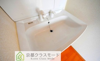 シャンプードレッサー
