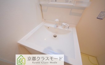 シャンプードレッサー　