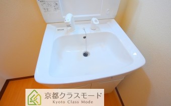 シャンプードレッサー