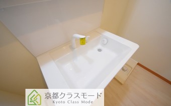 シャンプードレッサー