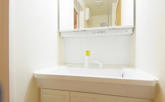 シャンプードレッサー
