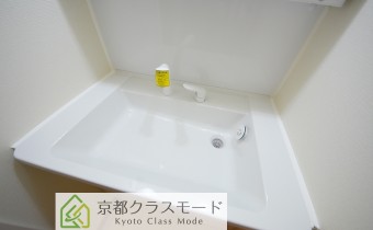 シャンプードレッサー