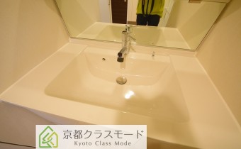 シャンプードレッサー