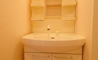 シャンプードレッサー