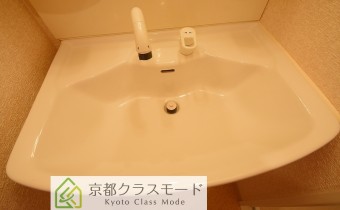 シャンプードレッサー