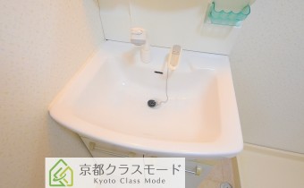 シャンプードレッサー