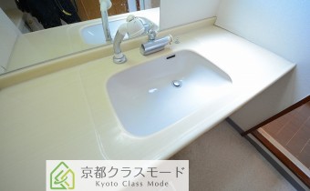 シャンプードレッサー