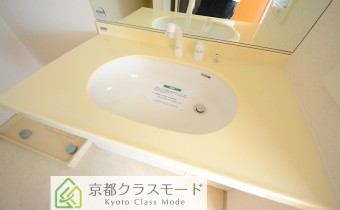 シャンプードレッサー