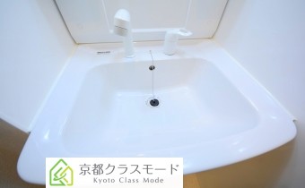 シャンプードレッサー