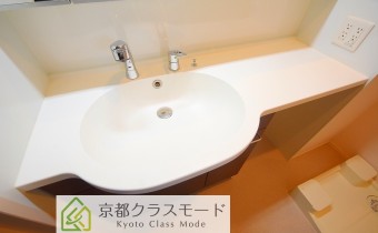 シャンプードレッサー
