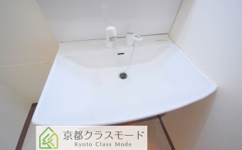 シャンプードレッサー