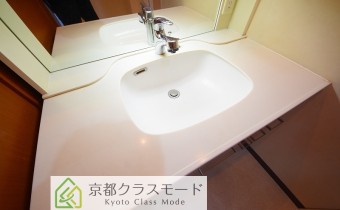 シャンプードレッサー