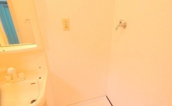 室内洗濯機置場
