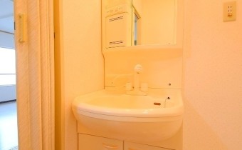 シャンプードレッサー