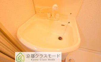 シャンプードレッサー