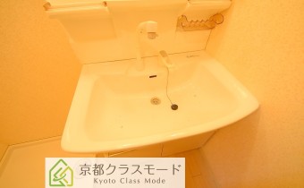 シャンプードレッサー