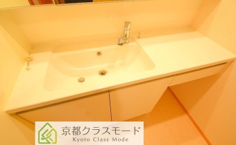 シャンプードレッサー