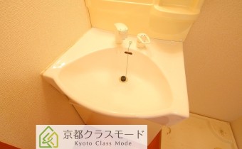 シャンプードレッサー