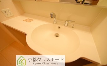 シャンプードレッサー
