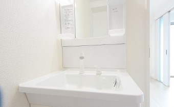 シャンプードレッサー
