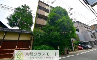 外観・別アングル