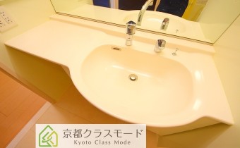 シャンプードレッサー