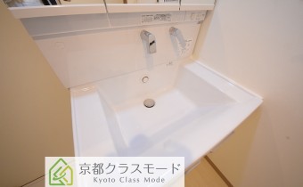 シャンプードレッサー